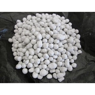 100g PHÂN BÓN TAN CHẬM ĐÀI LOAN HẠT TRẮNG
