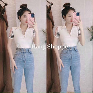 Áo cổ bẻ 💥HÌNH THẬT 💥áo cổ trụ chất vải borip mát co giãn