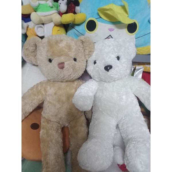 Gấu bông hàng kiện size 40-50cm
