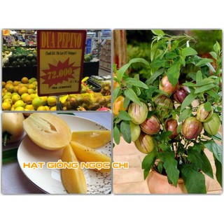 Hạt Giống Dưa Pepino (Dưa Nam Mỹ) - 4 Hạt
