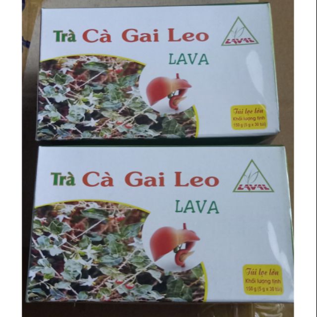 Combo 5 hộp Cà Gai Leo LaVa