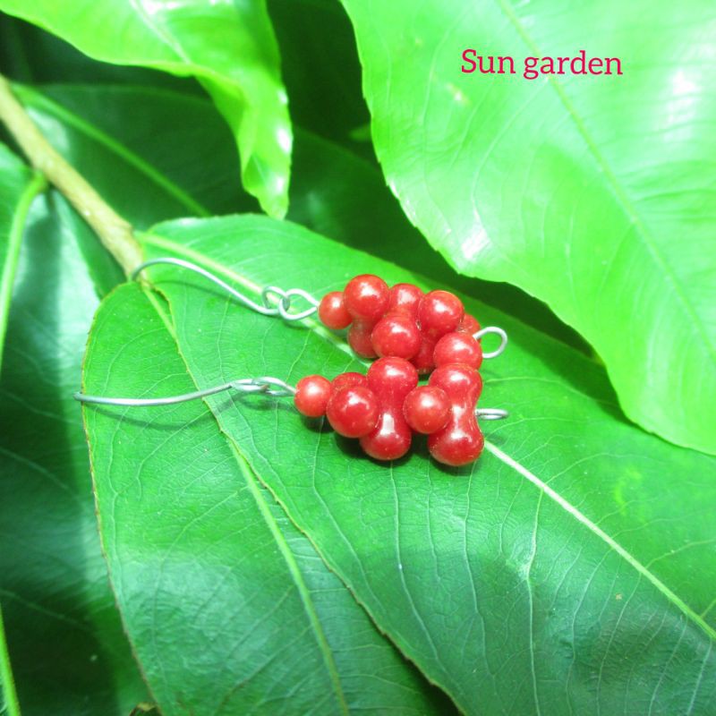 Bông tai san hô đỏ red coral sang trọng