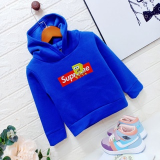 Áo nỉ bông (hoodie)