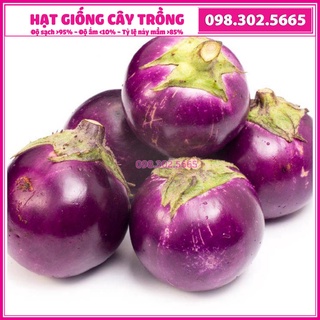 2gr Hạt giống cà tím bát quả to tròn giống tốt, năng suất cao, chịu khí hậu khắc nhiệt