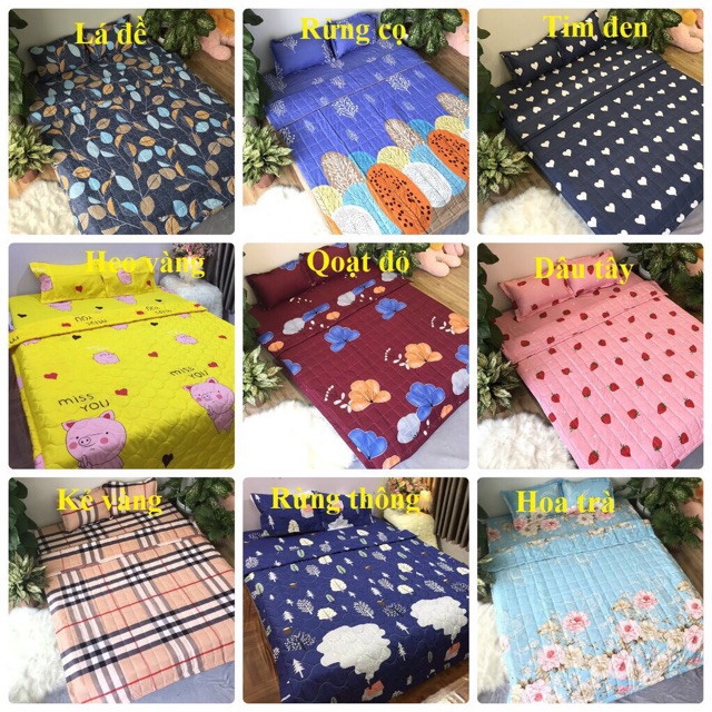 ⚡️[ FREE SHIP ] ⚡️ Set Ga Giường Cotton Poly Mẫu Mới 2021 | BigBuy360 - bigbuy360.vn