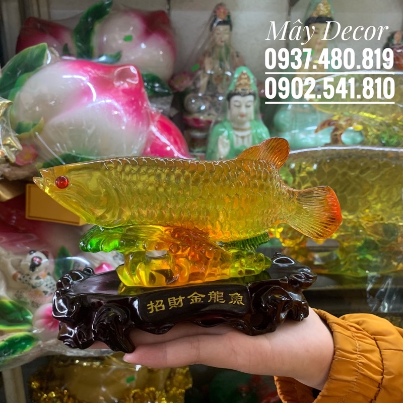 Tượng Cá Rồng 25.5x17x10.5