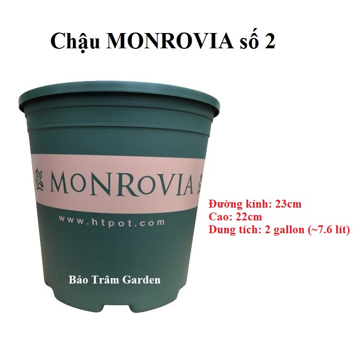 Set 5 chậu nhựa trồng cây cao cấp Monrovia cỡ số 2