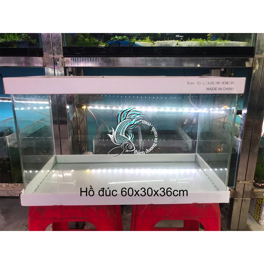 Hồ đúc bo góc đủ kích thước -bể cá đúc bo cạnh-hồ đúc mặt cong bo cạnh nhiều kích thước