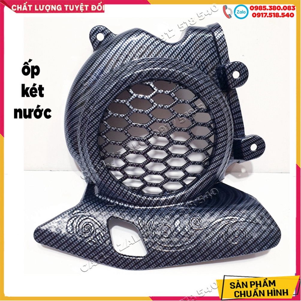 ✅ Ốp Carbon Vision 2021 ( giá lẻ từng món) ✅ Ảnh thật Sp