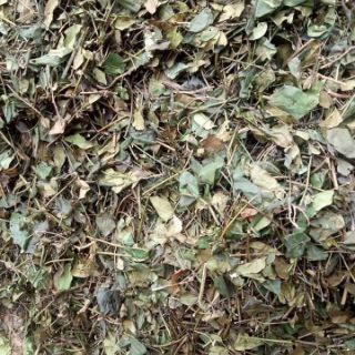 () 5kg chè vằng sẻ nghệ an
