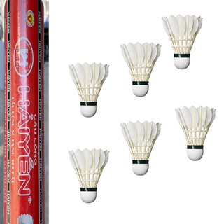 QUẢ CẦU LÔNG HỘP ĐỎ 6 QUẢ HẢI YẾN HD06