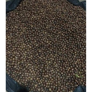 Hạt Mắc ca khô 500gr
