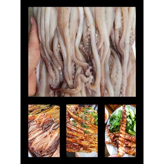 Đầu mực lớn 1 kg siêu tươi