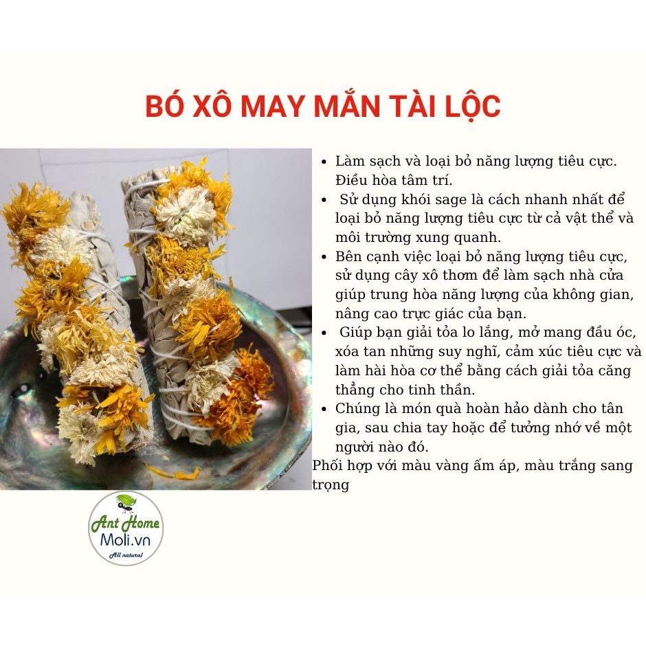 Bó xô May Mắn Tài Lộc (Xô trắng + Hoa vàng + Hoa trắng)