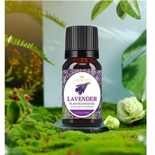 Tinh dầu thơm phòng từ thiên nhiên làm thơm thư giãn dùng cho đèn xông tinh dầu, máy phun sương dung tích 10ml nhiều mùi