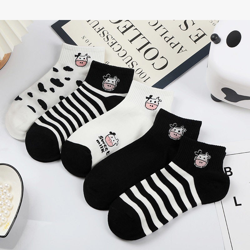 Tất Bò Sữa CUTE Phô Mai, Cộng Nghệ Chải Kỹ Cotton