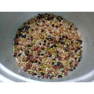Đậu xanh (giống thuần chủng)