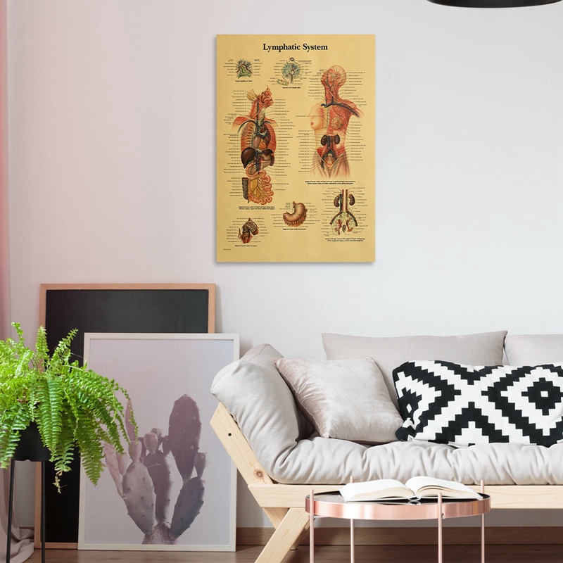 Aqtten Bảng Vẽ Nghệ Thuật Cơ Thể Người Bằng Vải Bạt In Hình Hệ Thống Vật Lý Giải Phẫu Hệ Thống Mô Hình Cơ Thể Người Retro