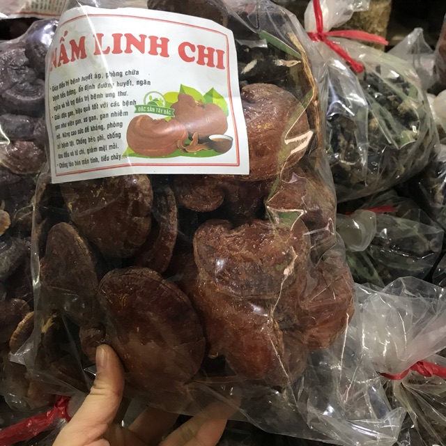 Nấm linh chi đỏ (1000g)