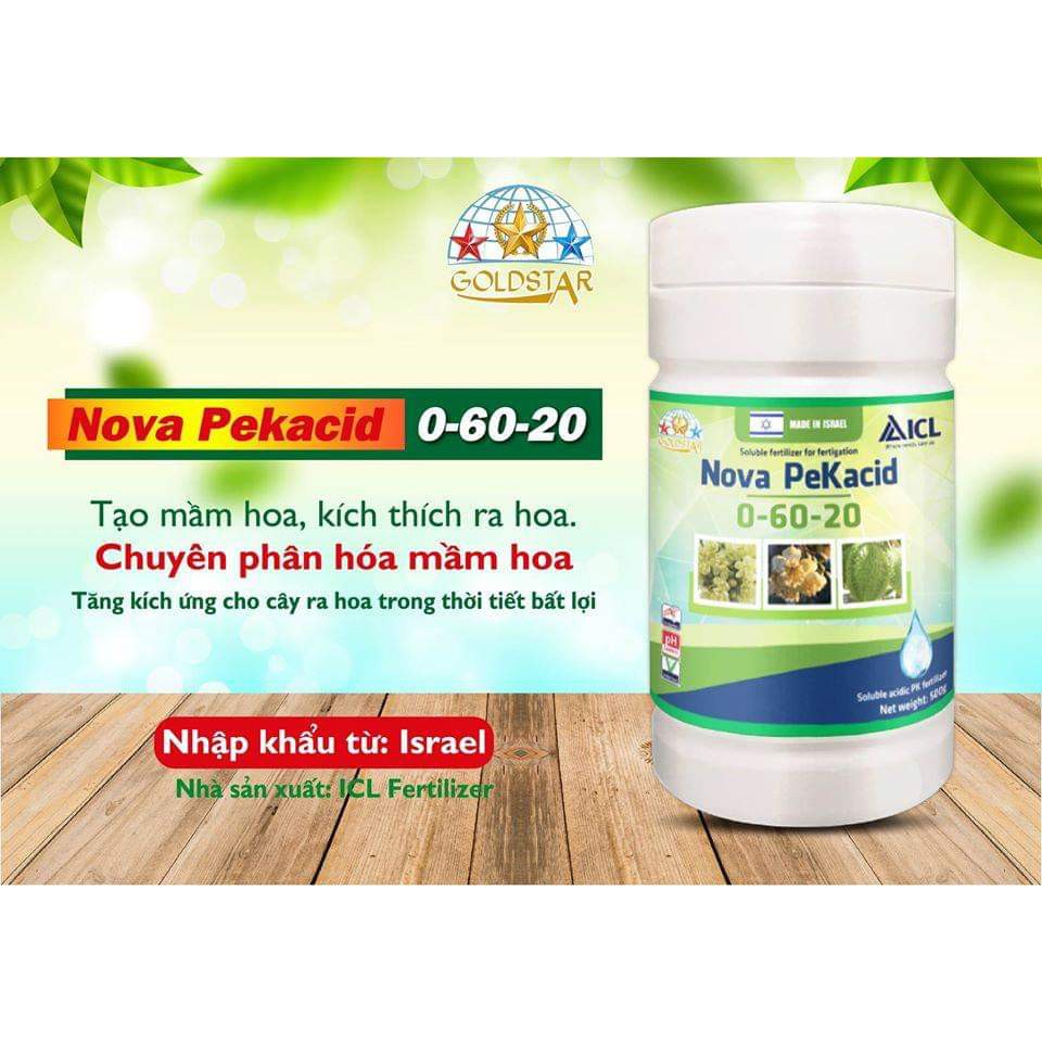 Tạo mầm Nova Pekacid 0-60-20 ISRAEL - hũ 500g - Tạo mầm hoa, Kích thích ra hoa siêu mạnh.