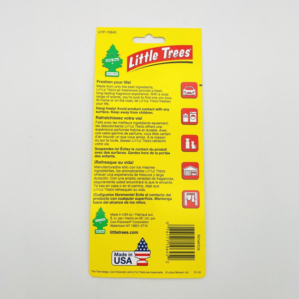 Cây thông thơm Little Trees Size Lớn