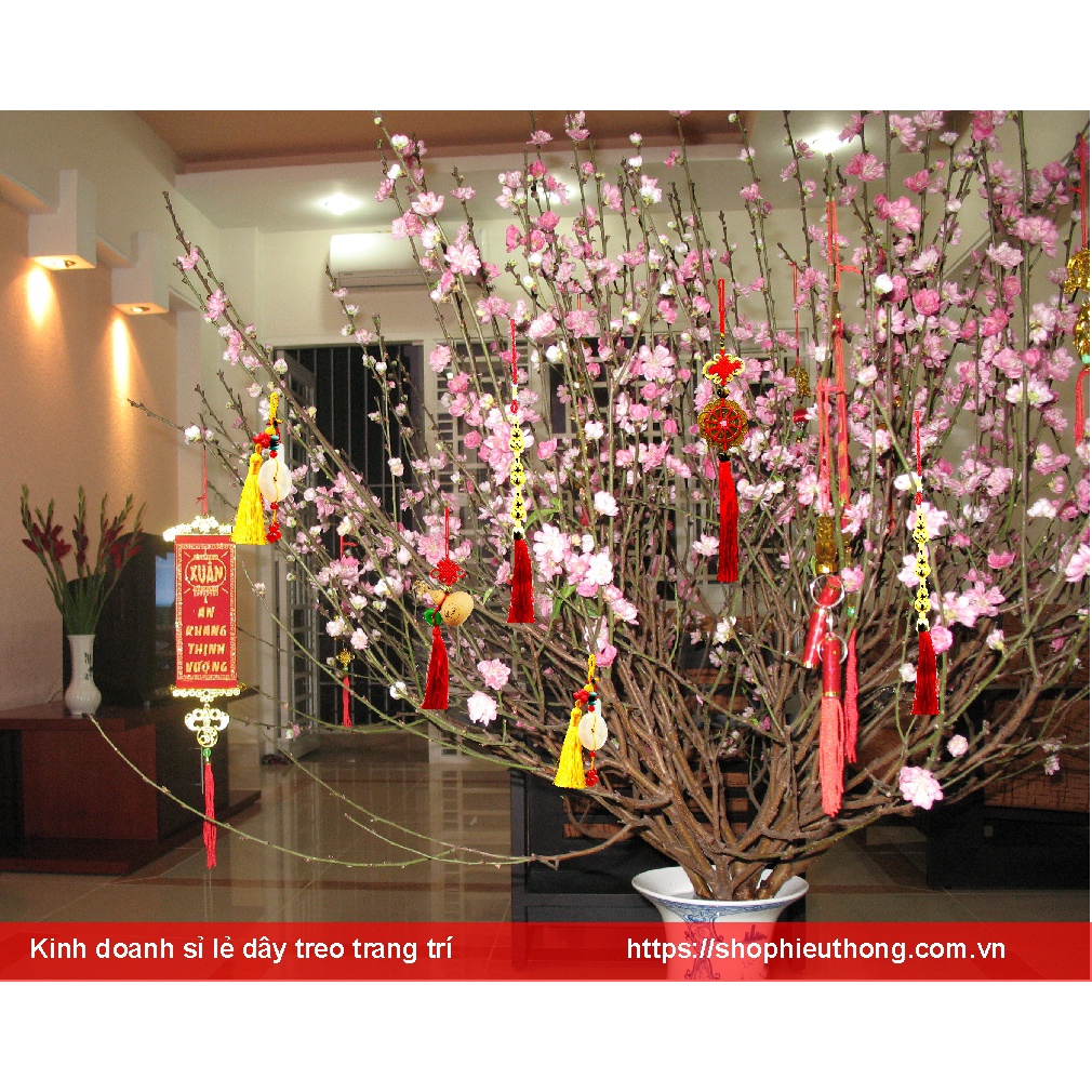Combo 10 dây liểng trang trí nhà cửa tết 2022 - giao mẫu ngẫu nhiên