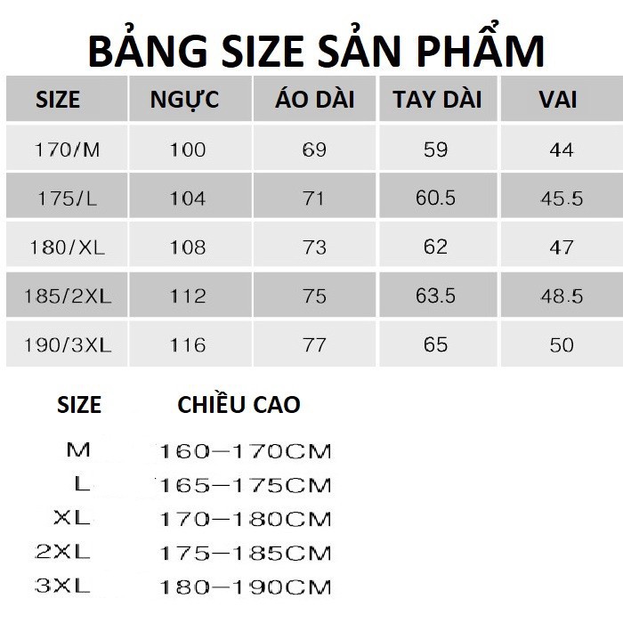 AN3144 - Áo thun nam cổ bẻ dài tay hàng nhập