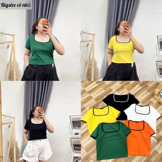 Áo thun tay ngắn bigsize nữ cổ vuống có viền dáng croptop ôm body tôn dáng siêu xinh co giãn mạnh A28
