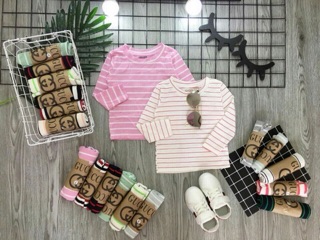 Combo sỉ áo thun kẻ sọc