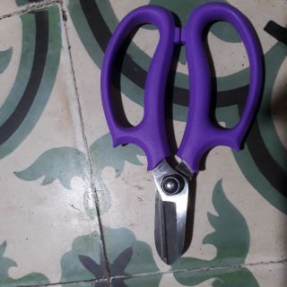 1 cái kéo cắt cành FT