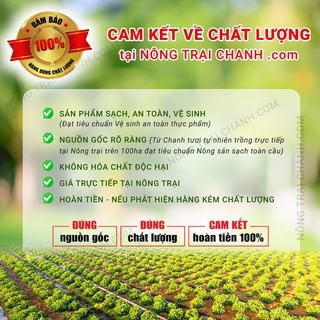 [Sỉ lẻ cực rẻ] Bột Chanh Hòa Tan Có Đường 400gr [Nhà Cung Cấp - Có Cam Kết]