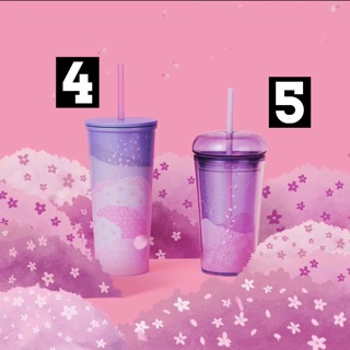 Ly, bình STARBUCKS SAKURA