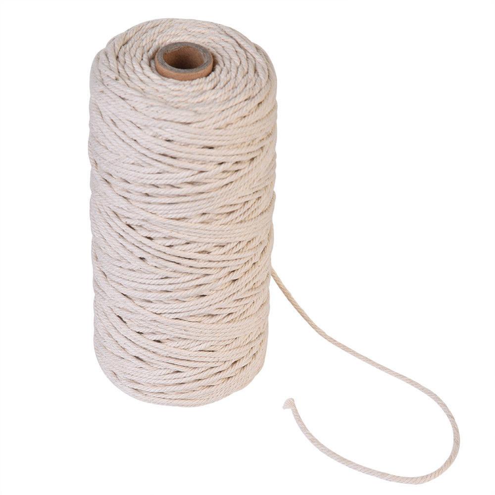 DIACHAVN Cuộn Dây Thừng 100m Dùng Làm Đồ Thủ Công Trang Trí Giáng Sinh Độc Đáo