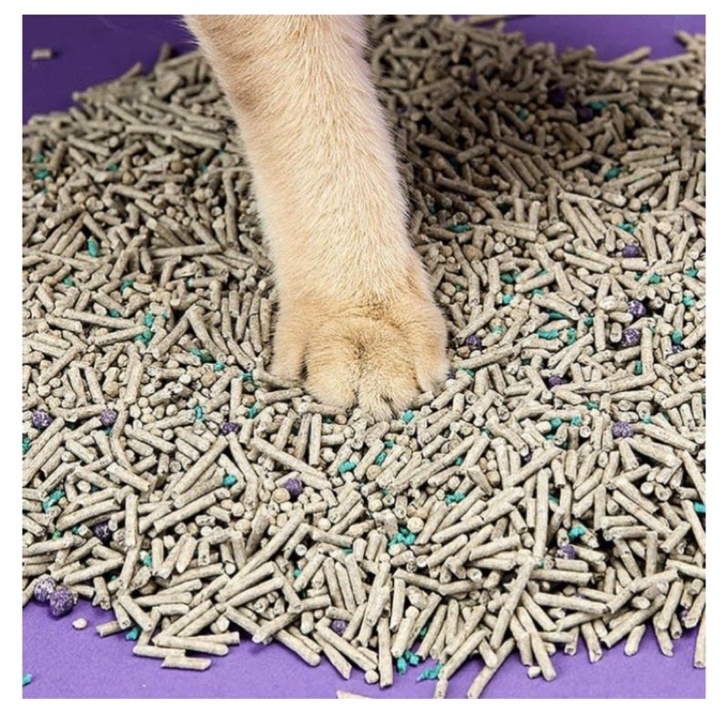 Cát hỗn hợp vệ sinh cho mèo PETKIT chính hãng khử mùi, diệt khuẩn, thấm hút, không bụi
