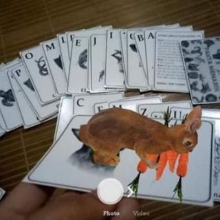 Bộ thẻ học animal 4D+ gồm 40 thẻ