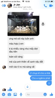 Sỏi Suối Trải Nền Bể Cá Cảnh (1kg)