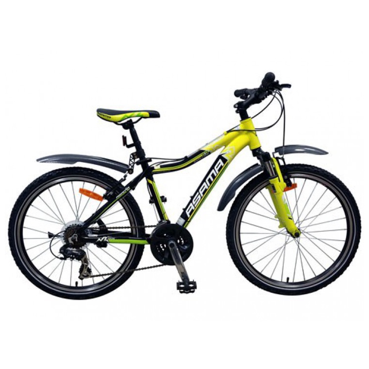 Xe đạp địa hình Asama MTB 24-01