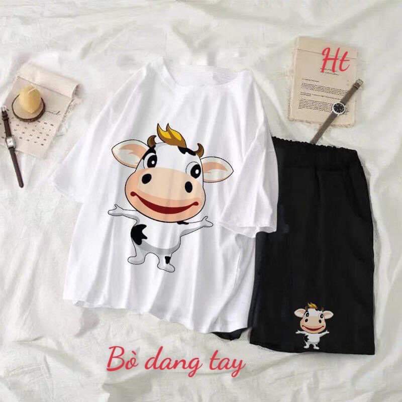 Sét đùi bò mẫu mới HT11