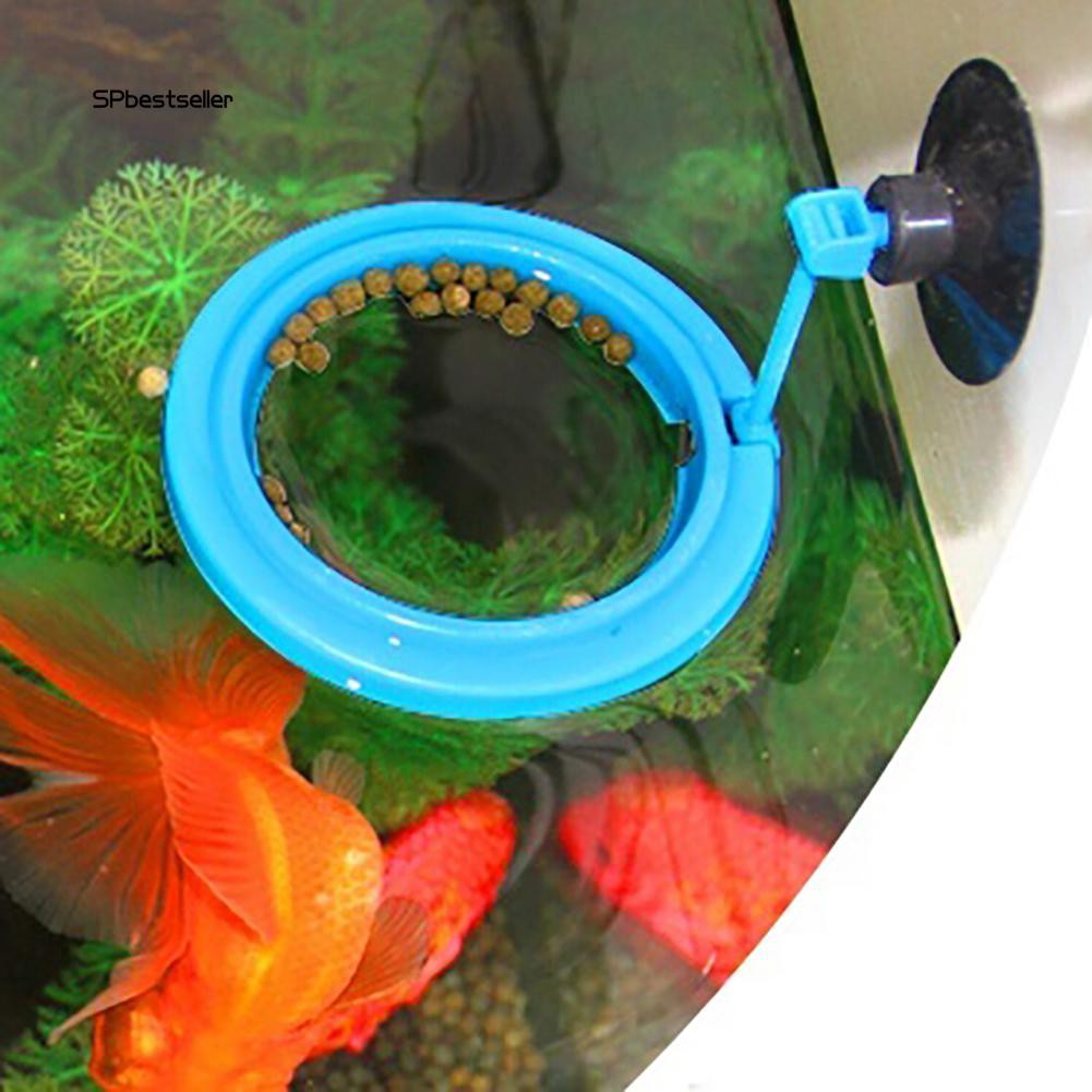 Phao nổi cho cá ăn tiện lợi chuyên dùng