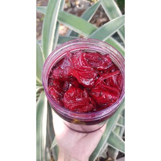 Siro kèm mứt atiso đỏ/hibicus hộp 500gr