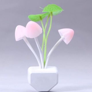 Đèn ngủ nấm cảm ứng