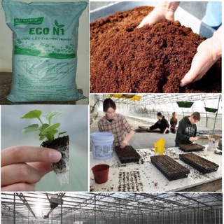 Đất sạch ECO N1