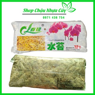 Rêu Rừng Trông Lan Đã Xử Ly