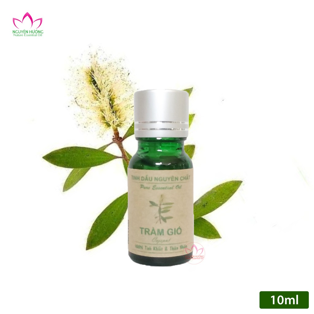 Tinh Dầu Tràm Gió (Cajeput) – 100% nguyên chất ( Treo xe, Xông thơm phòng.. ) | Thế Giới Skin Care