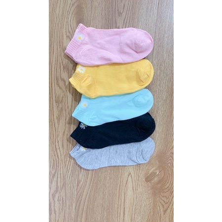 Tất Hoa Cúc Nữ Cổ Ngắn Siêu Cute 5 màu