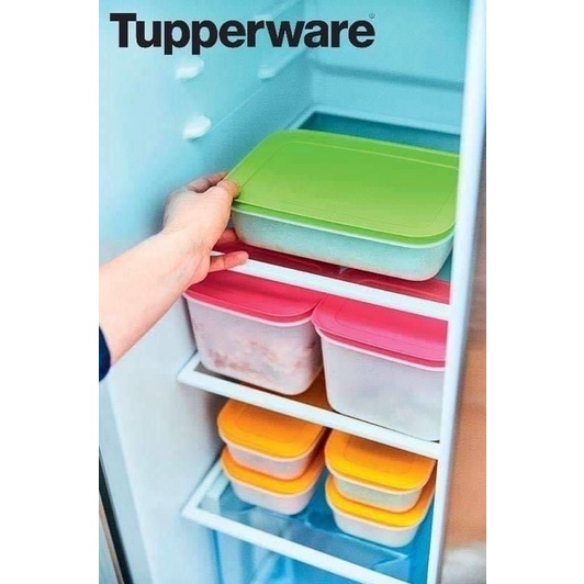 Set 8 Hộp Đông Dẻo Gen 2 Siêu Tiết Kiệm Trữ Thực Phẩm, Trái Cây, Đồ Ăn Dặm Mẫu Mới 2022