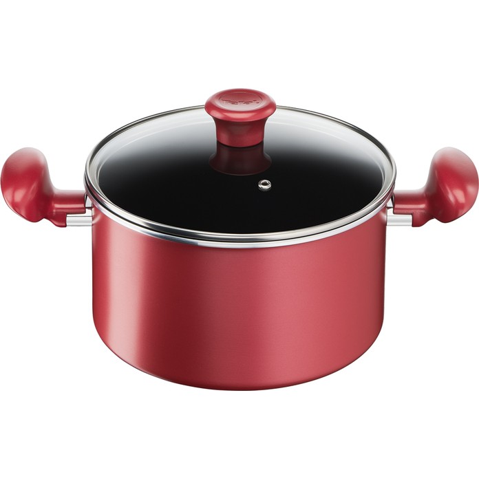 Nồi chống dính Tefal G1354595 - 22cm