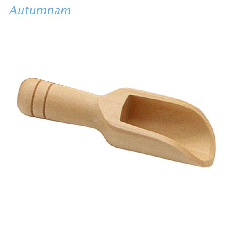 Muỗng Gỗ Mini Múc Trà/Cà Phê/Kẹo Tiện Dụng