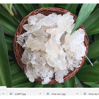 100G TUYẾT YẾN VÂN NAM LOẠI THƯỢNG HẠN