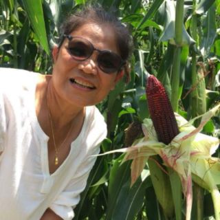 🌽🌽🤗BẮP NỮ HOÀNG ĐỎ🌽🌽😍